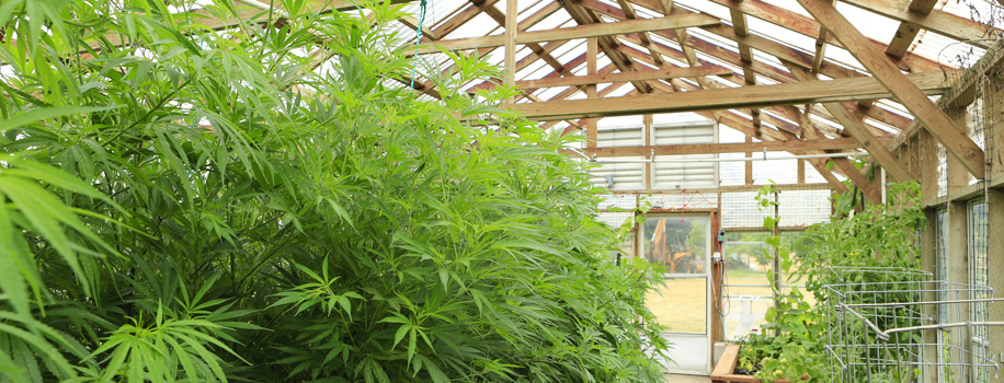 Security Solutions for Apartments in Hattiesburg, MS